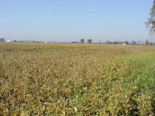 Property photo 12 - 108+/- Acres Offered in 2 Tracts