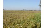 Property photo 12 - 108+/- Acres Offered in 2 Tracts