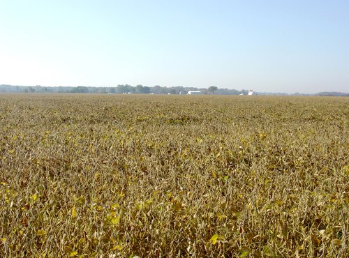 Property photo 13 - 108+/- Acres Offered in 2 Tracts