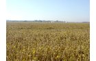 Property photo 13 - 108+/- Acres Offered in 2 Tracts