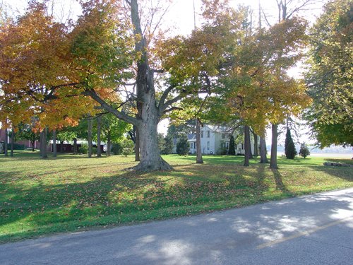 Property photo 21 - 21+/- Acres Offered in 3 Tracts - Homestead, Tillable Land & Wooded Land
