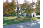 Property photo 21 - 21+/- Acres Offered in 3 Tracts - Homestead, Tillable Land & Wooded Land