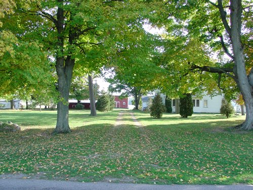Property photo 34 - 21+/- Acres Offered in 3 Tracts - Homestead, Tillable Land & Wooded Land