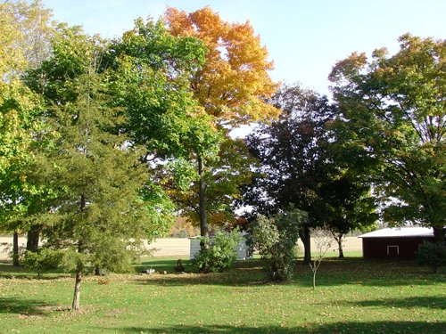 Property photo 1 - 21+/- Acres Offered in 3 Tracts - Homestead, Tillable Land & Wooded Land