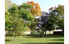 Property photo 1 - 21+/- Acres Offered in 3 Tracts - Homestead, Tillable Land & Wooded Land