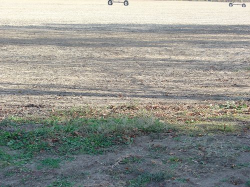Property photo 2 - 21+/- Acres Offered in 3 Tracts - Homestead, Tillable Land & Wooded Land
