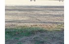 Property photo 2 - 21+/- Acres Offered in 3 Tracts - Homestead, Tillable Land & Wooded Land