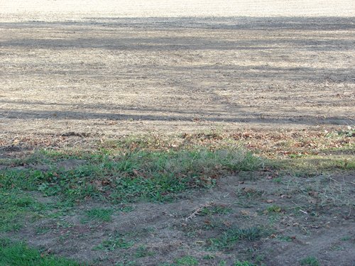 Property photo 33 - 21+/- Acres Offered in 3 Tracts - Homestead, Tillable Land & Wooded Land