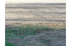 Property photo 33 - 21+/- Acres Offered in 3 Tracts - Homestead, Tillable Land & Wooded Land