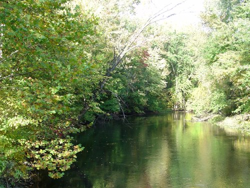 Property photo 57 - 21+/- Acres Offered in 3 Tracts - Homestead, Tillable Land & Wooded Land