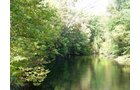 Property photo 57 - 21+/- Acres Offered in 3 Tracts - Homestead, Tillable Land & Wooded Land