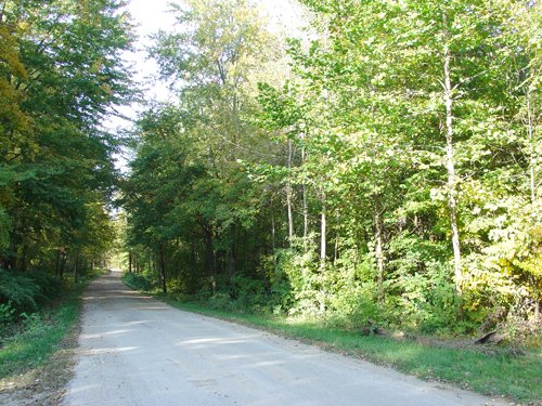 Tract 3 - 21+/- Acres Offered in 3 Tracts - Homestead, Tillable Land & Wooded Land