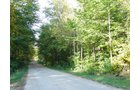 Tract 3 - 21+/- Acres Offered in 3 Tracts - Homestead, Tillable Land & Wooded Land