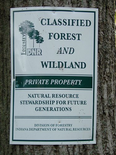 Tract 3 - 21+/- Acres Offered in 3 Tracts - Homestead, Tillable Land & Wooded Land