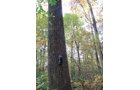 Tract 3 - 21+/- Acres Offered in 3 Tracts - Homestead, Tillable Land & Wooded Land