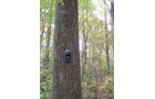 Tract 3 - 21+/- Acres Offered in 3 Tracts - Homestead, Tillable Land & Wooded Land