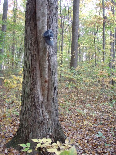 Tract 3 - 21+/- Acres Offered in 3 Tracts - Homestead, Tillable Land & Wooded Land