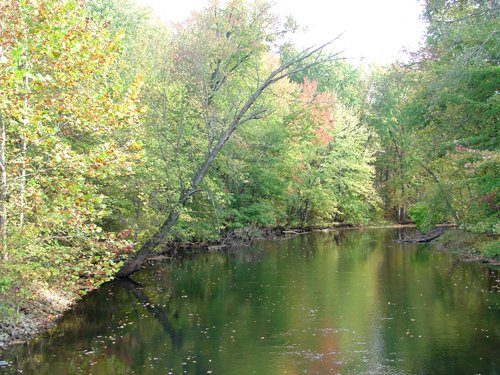 Property photo 32 - 21+/- Acres Offered in 3 Tracts - Homestead, Tillable Land & Wooded Land