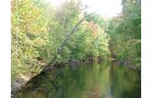 Property photo 32 - 21+/- Acres Offered in 3 Tracts - Homestead, Tillable Land & Wooded Land