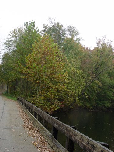 Property photo 51 - 21+/- Acres Offered in 3 Tracts - Homestead, Tillable Land & Wooded Land