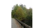 Property photo 51 - 21+/- Acres Offered in 3 Tracts - Homestead, Tillable Land & Wooded Land