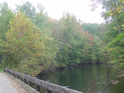 Property photo 48 - 21+/- Acres Offered in 3 Tracts - Homestead, Tillable Land & Wooded Land