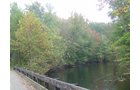 Property photo 48 - 21+/- Acres Offered in 3 Tracts - Homestead, Tillable Land & Wooded Land