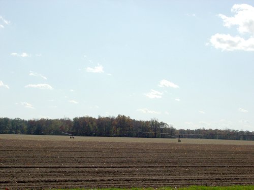 Property photo 22 - 21+/- Acres Offered in 3 Tracts - Homestead, Tillable Land & Wooded Land