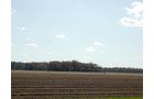 Property photo 22 - 21+/- Acres Offered in 3 Tracts - Homestead, Tillable Land & Wooded Land