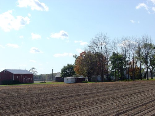 Property photo 36 - 21+/- Acres Offered in 3 Tracts - Homestead, Tillable Land & Wooded Land