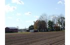 Property photo 36 - 21+/- Acres Offered in 3 Tracts - Homestead, Tillable Land & Wooded Land
