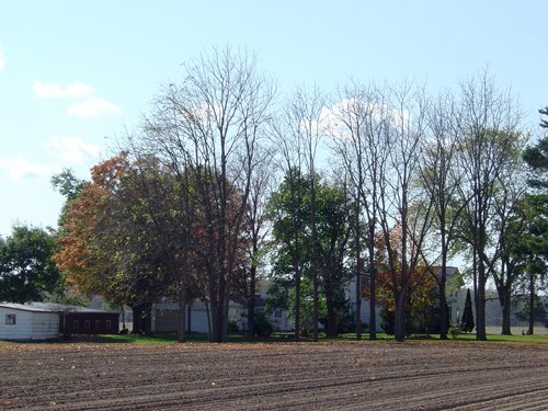 Property photo 17 - 21+/- Acres Offered in 3 Tracts - Homestead, Tillable Land & Wooded Land