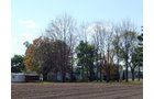 Property photo 17 - 21+/- Acres Offered in 3 Tracts - Homestead, Tillable Land & Wooded Land