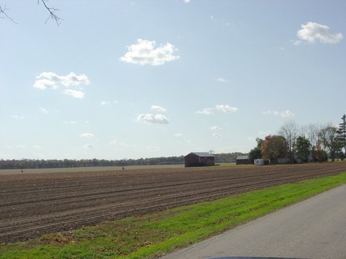 Property photo 41 - 21+/- Acres Offered in 3 Tracts - Homestead, Tillable Land & Wooded Land