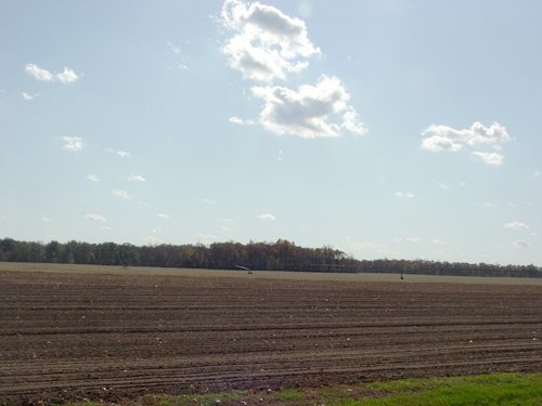 Property photo 28 - 21+/- Acres Offered in 3 Tracts - Homestead, Tillable Land & Wooded Land