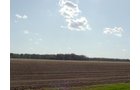 Property photo 28 - 21+/- Acres Offered in 3 Tracts - Homestead, Tillable Land & Wooded Land