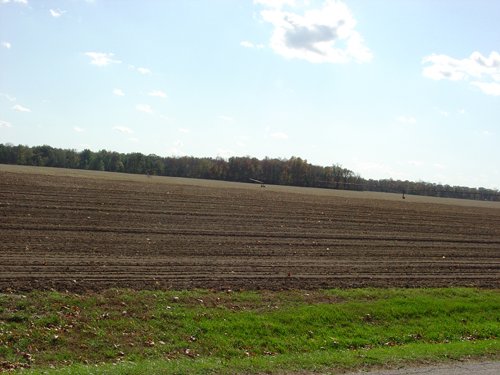 Property photo 43 - 21+/- Acres Offered in 3 Tracts - Homestead, Tillable Land & Wooded Land