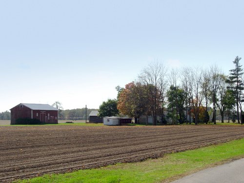 Property photo 29 - 21+/- Acres Offered in 3 Tracts - Homestead, Tillable Land & Wooded Land