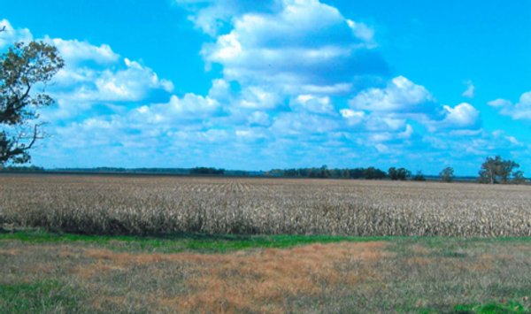 127+/- Acres Offered in 3 Tracts