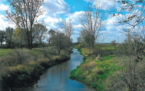 Property photo 2 - 127+/- Acres Offered in 3 Tracts