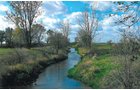Property photo 2 - 127+/- Acres Offered in 3 Tracts
