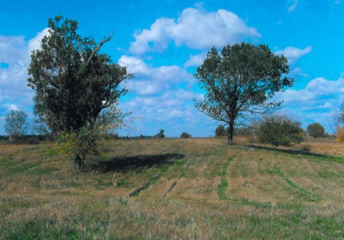 Property photo 1 - 127+/- Acres Offered in 3 Tracts
