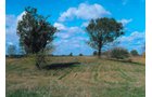 Property photo 1 - 127+/- Acres Offered in 3 Tracts