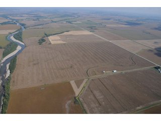 Property photo 18 - 955 Acres Offered in 12 Tracts