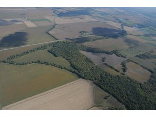 Property photo 39 - 955 Acres Offered in 12 Tracts