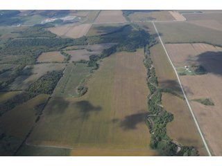 Property photo 42 - 955 Acres Offered in 12 Tracts
