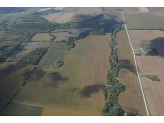 Property photo 81 - 955 Acres Offered in 12 Tracts