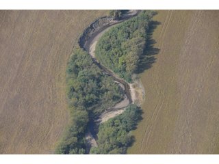 Property photo 13 - 955 Acres Offered in 12 Tracts