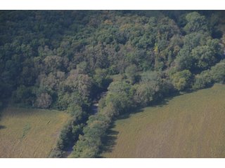 Property photo 32 - 955 Acres Offered in 12 Tracts