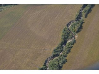 Property photo 10 - 955 Acres Offered in 12 Tracts